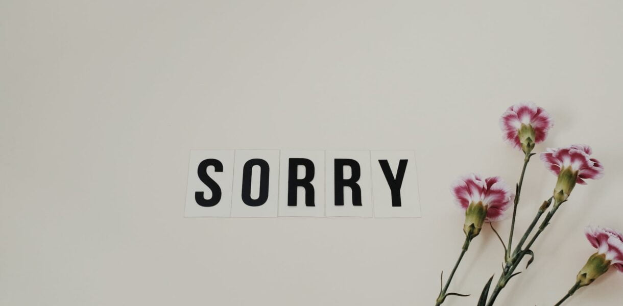 word sorry beside flowers on white surface